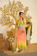 Elegant 3-Piece Anarkali Set 1